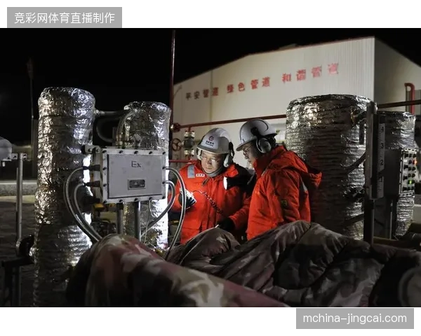 极端入场峰值下的离线数据比对机制保障了安检窗口不堵塞
